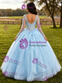 Light Blue Tulle Long Sleeve Appliques Quinceanera Dress