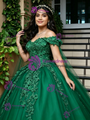 Green Tulle Off The Shoulder Appliques Quinceanera Dress