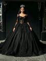 Black Tulle Lace Long Sleeve Quinceanera Dress