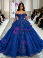 Blue Tulle Long Sleeve Beading Quinceanera Dress