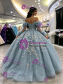 Blue Tulle Straps Appliques Long Sleeve Quinceanera Dress