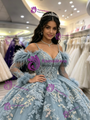 Blue Tulle Straps Appliques Long Sleeve Quinceanera Dress