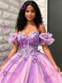 Purple Tulle Off the Shoulder Appliques Quinceanera Dress