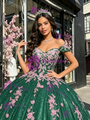 Green Sequins Off the Shoulder Appliques Quinceanera Dress