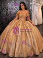 Gold Sequins Appliques Quinceanera Dress