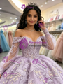 Purple Tulle Off The Shoulder Appliques Quinceanera Dress
