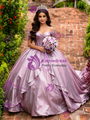 Purple Ball Gown Off the Shoulder Quinceanera Dress