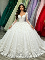 White Tulle Long Sleeve 3D Appliques Quinceanera Dress