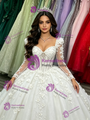 White Tulle Long Sleeve 3D Appliques Quinceanera Dress
