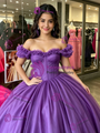 Purple Tulle Off the Shoulder Quinceanera Dress
