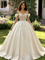 Ivory White Tulle Straps Long Sleeve Appliques Quinceanera Dress