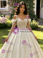 Ivory White Tulle Straps Long Sleeve Appliques Quinceanera Dress