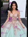 Green Tulle Straps Long Sleeve Quinceanera Dress