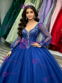 Blue Tulle V-neck Long Sleeve Beading Quinceanera Dress