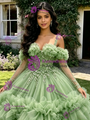Green Tulle Straps Long Sleeve Quinceanera Dress