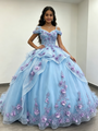 Sky Blue Tulle 3D Appliques Quinceanera Dress