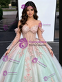 Tulle Sequins Appliques Long Sleeve Quinceanera Dress