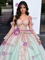 Tulle Sequins Appliques Long Sleeve Quinceanera Dress
