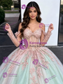 Tulle Sequins Appliques Long Sleeve Quinceanera Dress