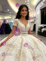 White Tulle V-neck Short Sleeve Appliques Quinceanera Dress