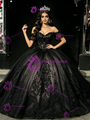 Black Tulle Off The Shoulder Appliques Quinceanera Dress