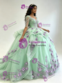 Green Long Sleeve Square Neck Appliques Quinceanera Dress