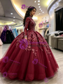 Burgundy Tulle Long Sleve High Neck Quinceanera Dress