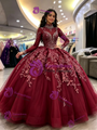 Burgundy Tulle Long Sleve High Neck Quinceanera Dress