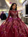 Burgundy Tulle Long Sleve High Neck Quinceanera Dress