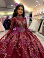 Burgundy Tulle Long Sleve High Neck Quinceanera Dress