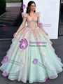 Green Sequins Long Sleeve Appliques Quinceanera Dress