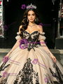 Champagne Tulle Appliques Off the Shoulder Quinceanera Dress