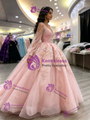 Pink Tulle Long Sleeve Appliques Quinceanera Dress