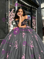 Gray Tulle Off the Shoulder Appliques Quinceanera Dress