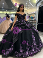 Black Tulle Off the Shoulder Appliques Quinceanera Dress