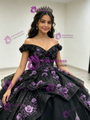 Black Tulle Off the Shoulder Appliques Quinceanera Dress