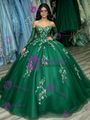 Green Tulle Long Sleeve Appliques Quinceanera Dress