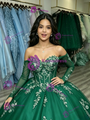 Green Tulle Long Sleeve Appliques Quinceanera Dress