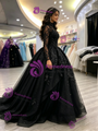 Black Tulle Long Sleeve Quinceanera Dress