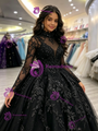 Black Tulle Long Sleeve Quinceanera Dress