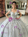 Gray Tulle Appliques Quinceanera Dress