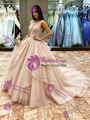 Ball Gown Tulle Appliques Quinceanera Dress