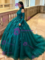 Blue Tulle Long Sleeve Flower Quinceanera Dress