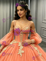 Orange Tulle Long Sleeve Appliques Quinceanera Dress