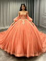 Orange Tulle Long Sleeve Appliques Quinceanera Dress