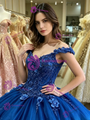 Blue Tulle Appliques Quinceanera Dress