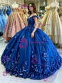 Blue Tulle Appliques Quinceanera Dress