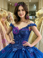 Blue Tulle Appliques Quinceanera Dress