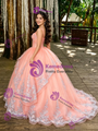 Orange Tulle Appliques Straps Prom Dress