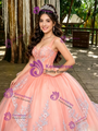 Orange Tulle Appliques Straps Prom Dress
